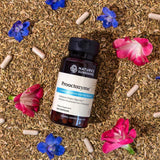 Suplementos  Proactazyme: Enzimas Digestiva 100 Cápsulas