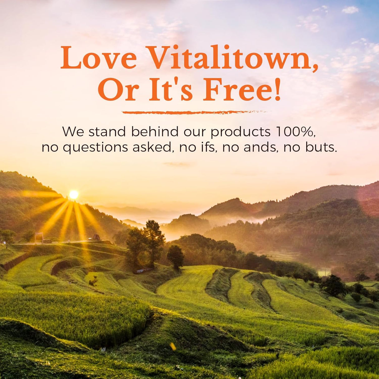 Vitalitown Vitamina D3 K2 Suplemento 90 cáp. Non-GMO