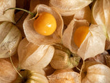 Semillas de Tomatillo Gaea's Blessing - No-GMO, Herencia, Abiertas