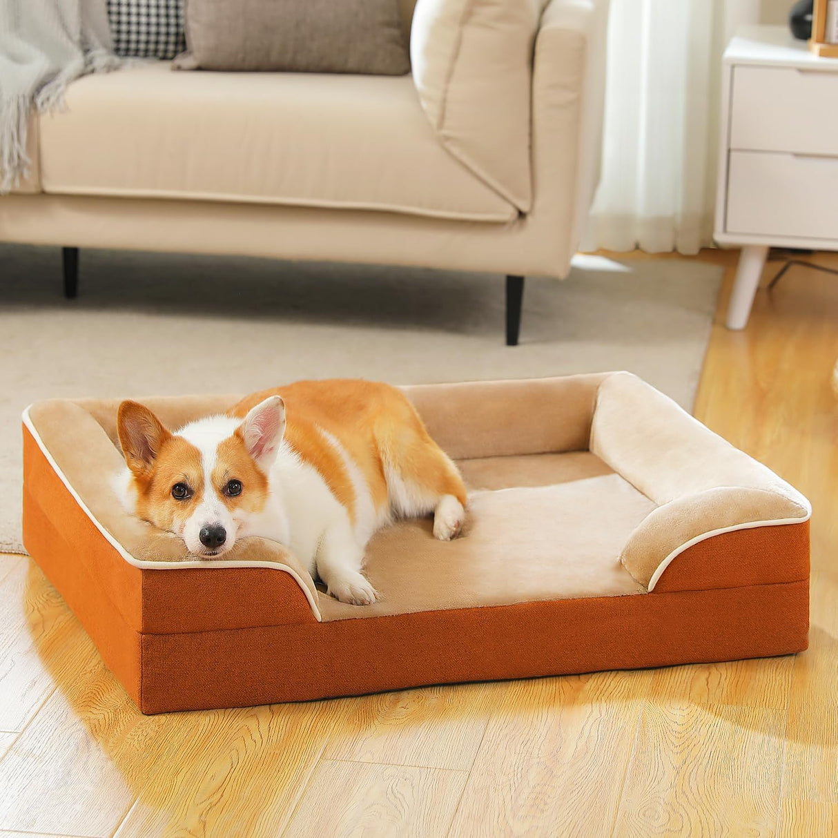 Cama ortopédica para perros PAWZ Road, memoria, impermeable, mediana