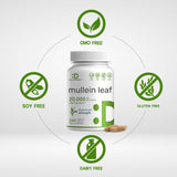Suplemento Hoja de gordolobo 20,000 mg, 240 cápsulas