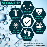 Vegan Probiotic Plus B12 - 22B CFU, Prebiotics, Digestión