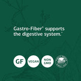 Suplementos de alimentos integrales y salud intestinal