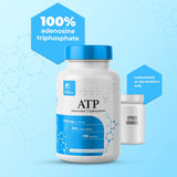 Cápsulas de ATP - 120 cápsulas - 400mg - Energía y Resistencia
