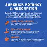 Magnesium Glycinato - Suplemento de 500mg, 240 cápsulas
