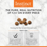 Natural Dry comida para perros de Nature's Variety
