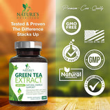 Suplemento Extracto de té verde 98% EGCG estandarizado 240u