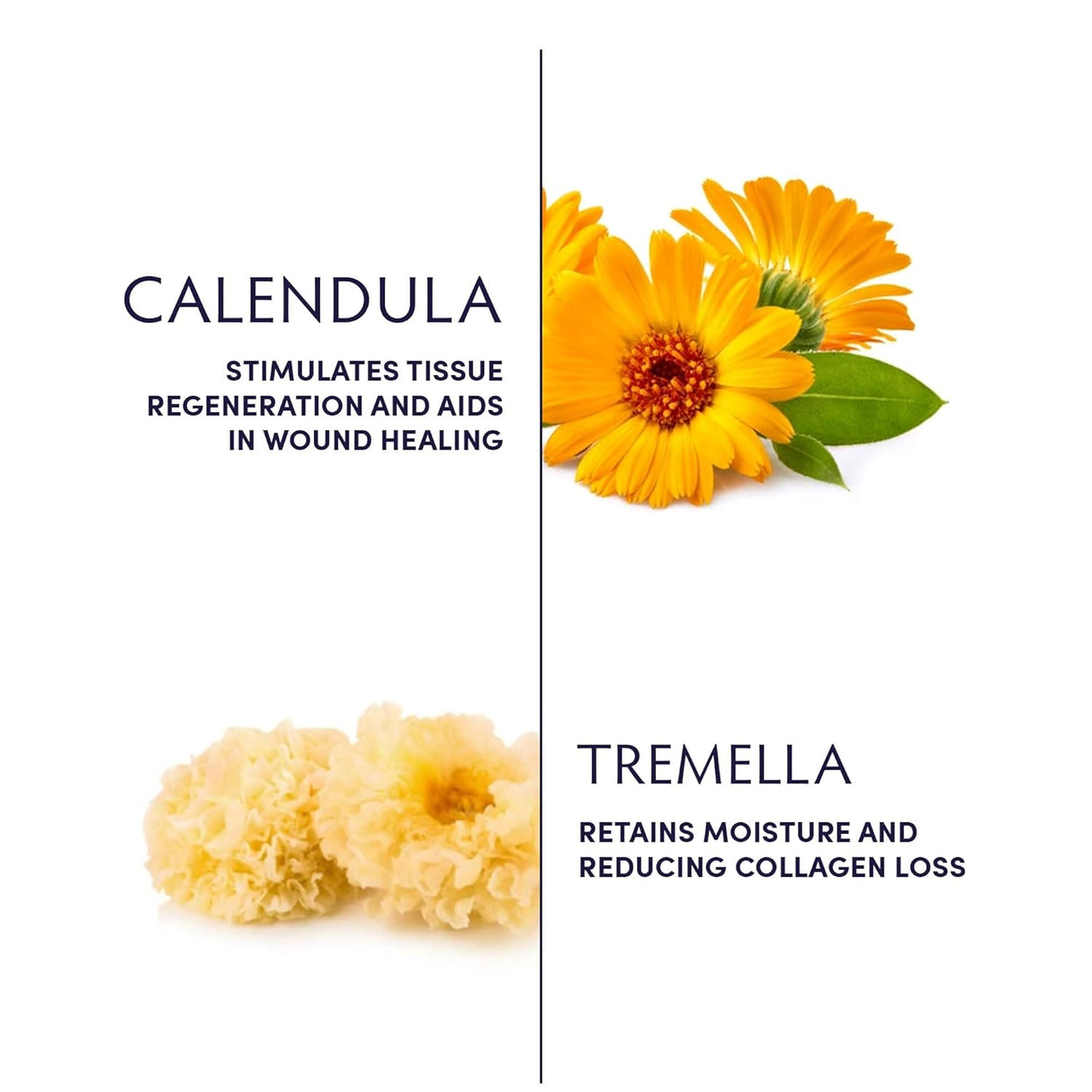 Manteca Corporal Nutritiva de Caléndula y Tremella con Vitamina E