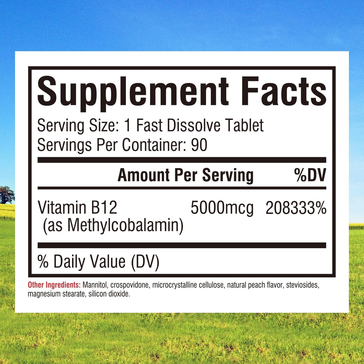 Vitamina B12 5000mcg Vegana, Disolución Rápida, 90 Tabletas