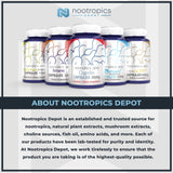 Polvo de extracto de escutelaria Baikal 0.53 oz Nootropics