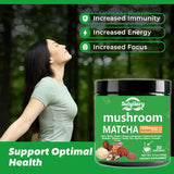 Polvo de Matcha con Hongos, 3500mg, 30 Porciones, 10:1