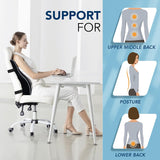 Cojín Lumbar para Auto y Oficina, Espuma Viscoelástica, 3D