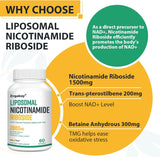 Suplemento Riboside liposomal  apoyo al envejecimiento