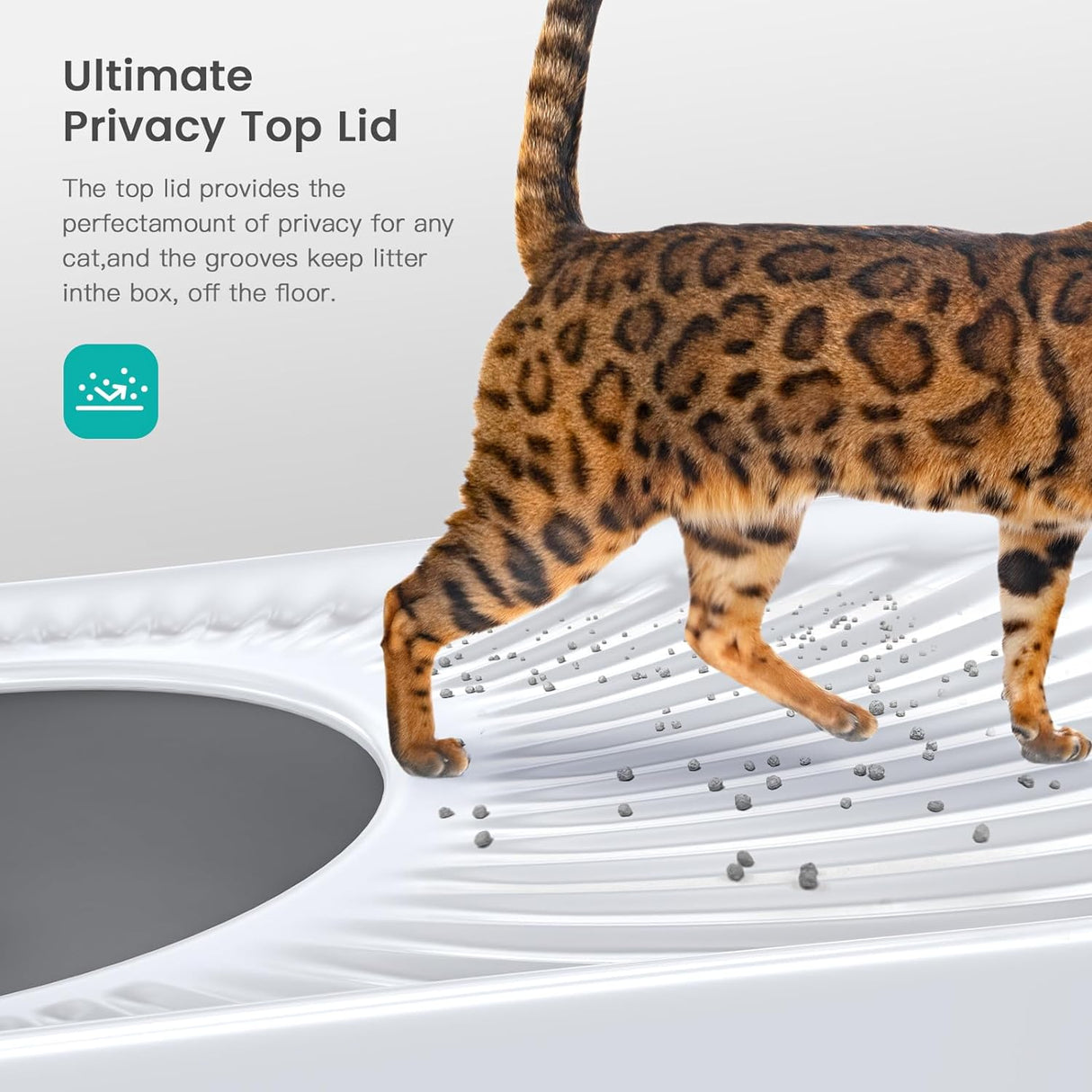 Caja de arena para gatos de acero inoxidable WoofiGo