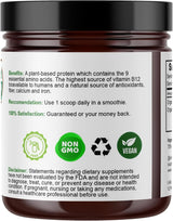 Polvo de proteína de lentejas de agua  de vitamina B12