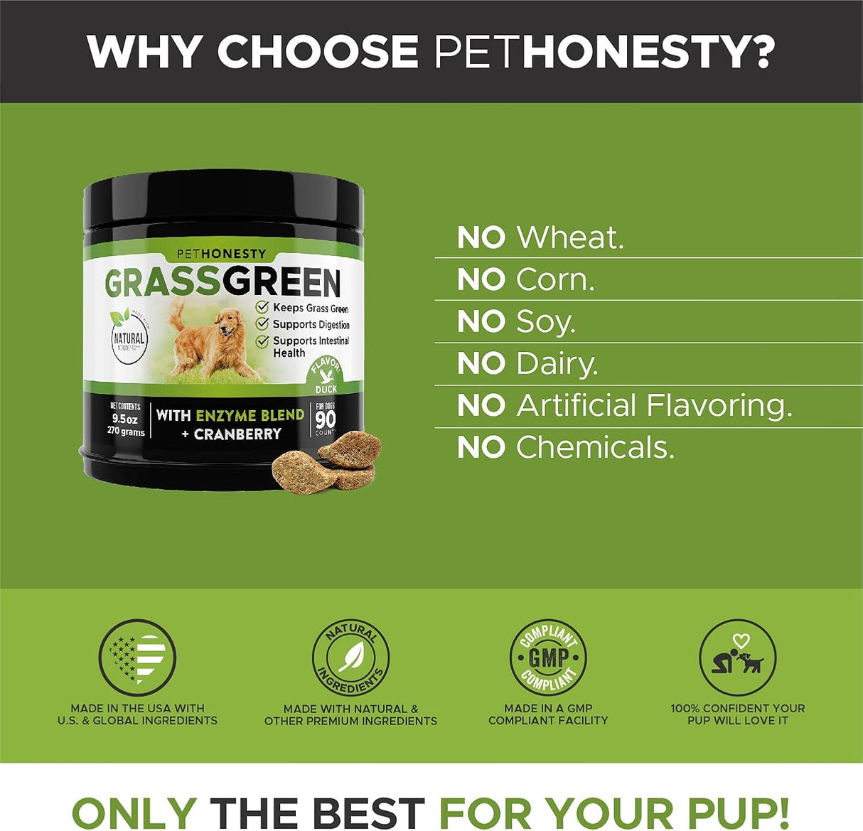 Vitaminas para perros de hierba verde hierba