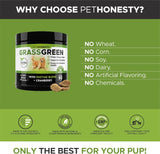 Vitaminas para perros de hierba verde hierba