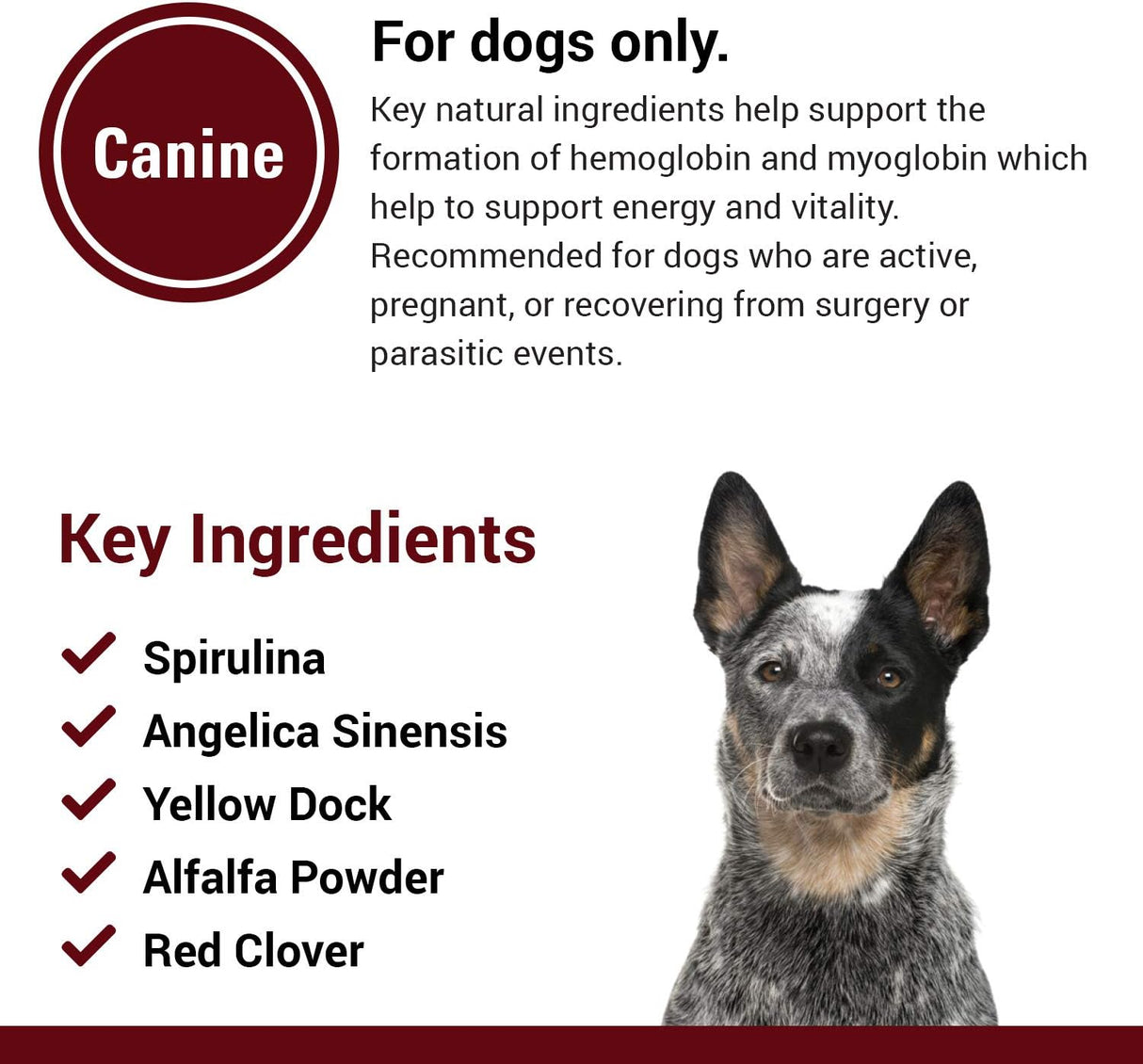 Vitaminas Soporte de sangre y energía para perros