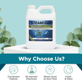 Agua Desmineralizada Steam & Go, Limpiador de Vapor Multisuperficie