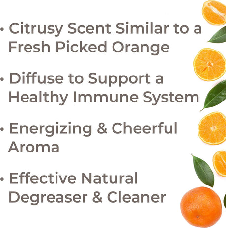 Aceite esencial terapéutico de naranja dulce orgánica puro