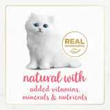 Alimento húmedo natural para gatitos sin granos