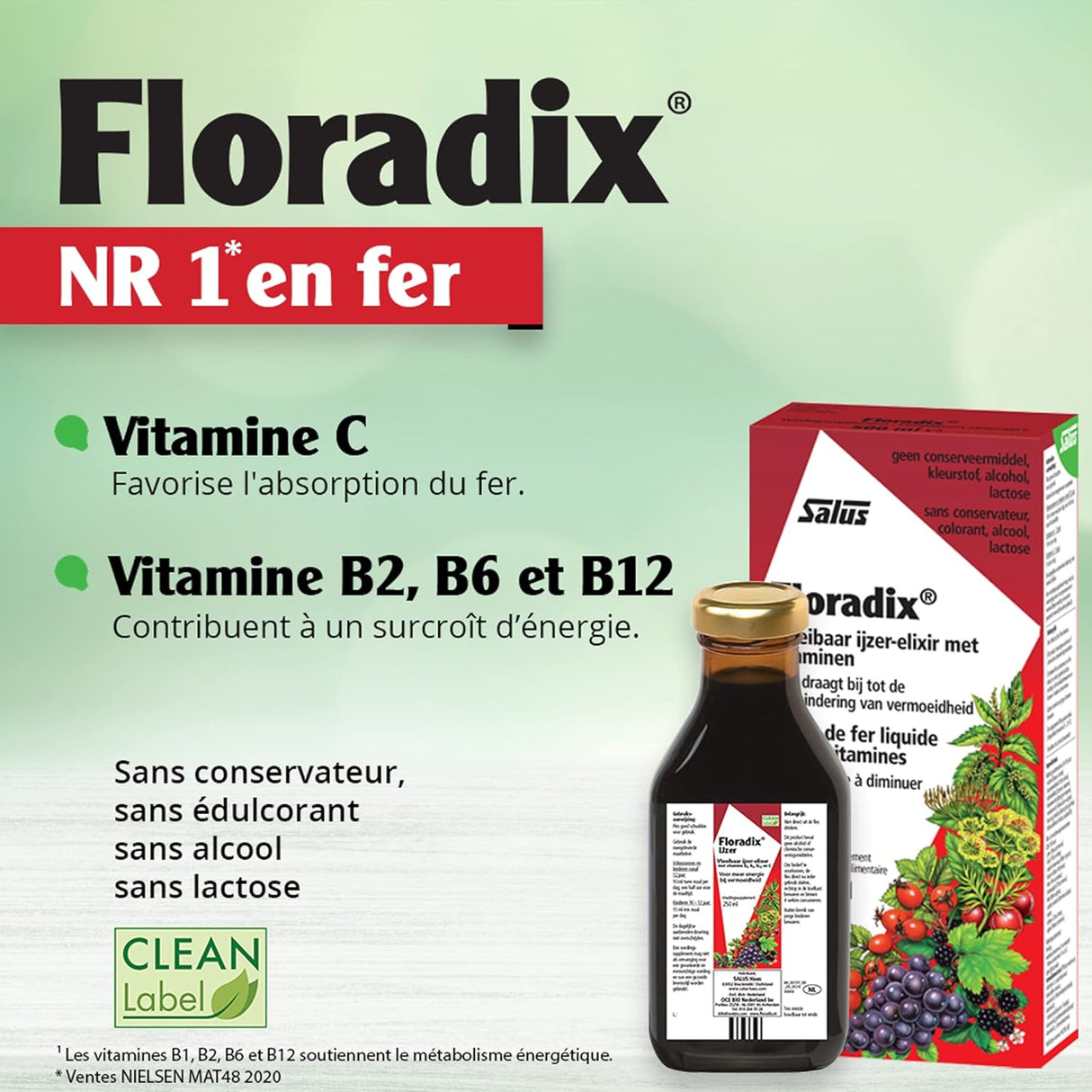 Suplemento Hierro en Fórmula Líquida Floradix