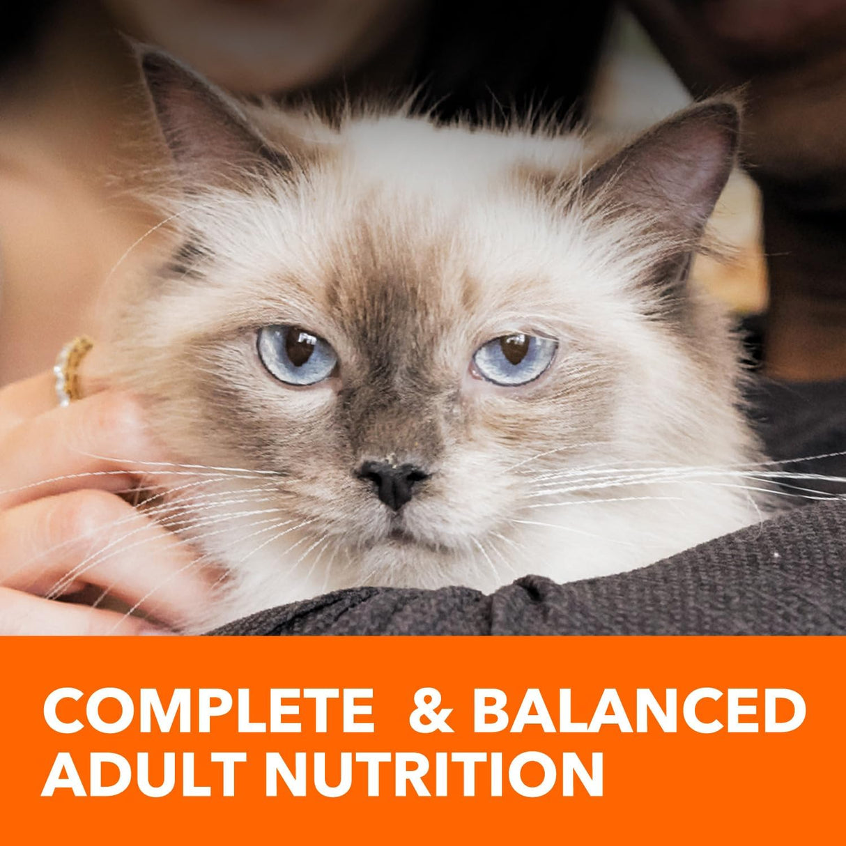 IAMS Proactive Health Alimento Seco Gato Indoor Control Peso 7 lb