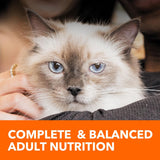 IAMS Proactive Health Alimento Seco Gato Indoor Control Peso 7 lb