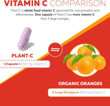 Vitamina C Orgánica de Frutas con Cofactores de Absorción