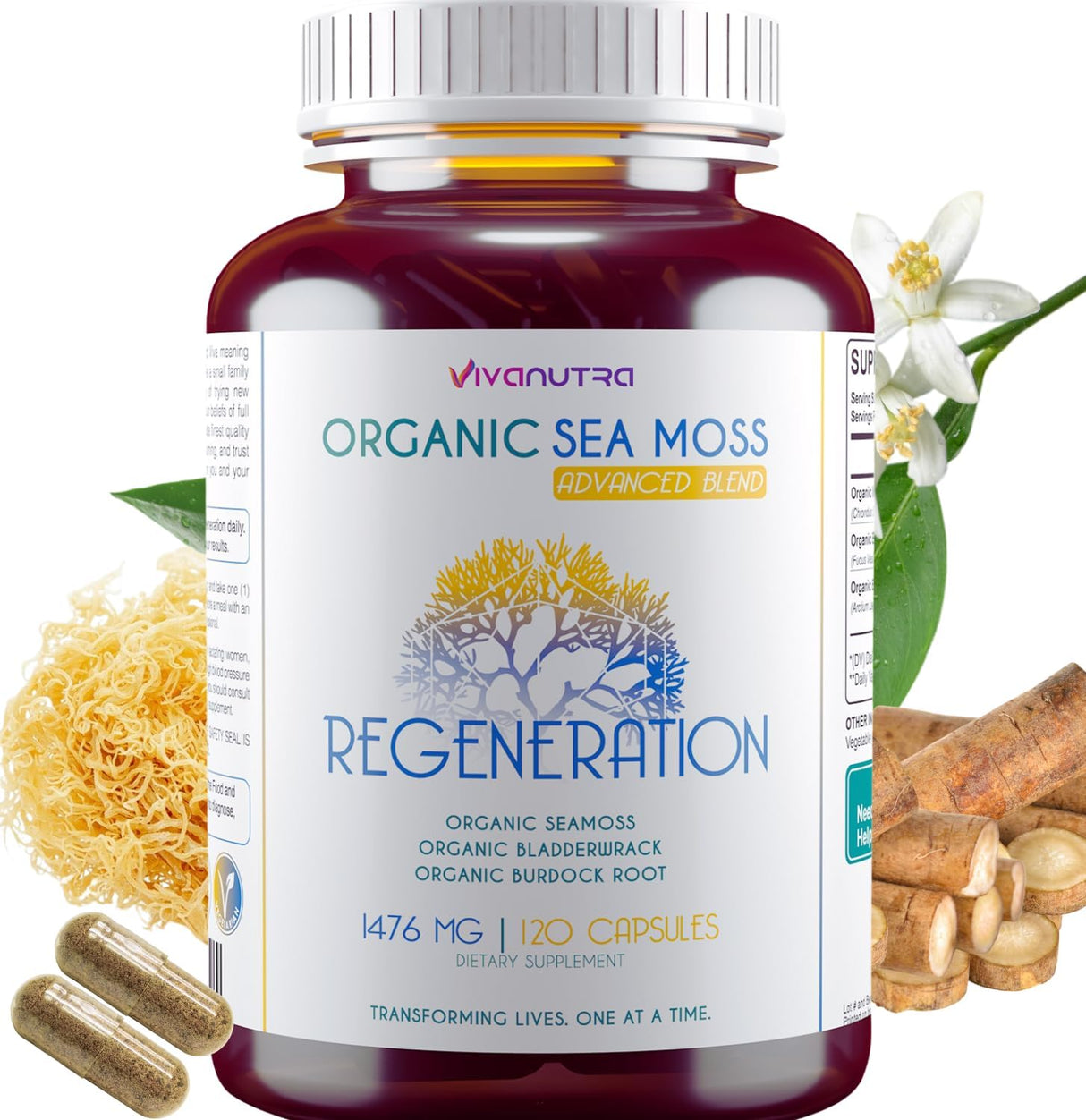 Viva Nutra Cápsulas Orgánicas de Musgo Irlandés, Bladderwrack y Bardana