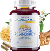 Viva Nutra Cápsulas Orgánicas de Musgo Irlandés, Bladderwrack y Bardana