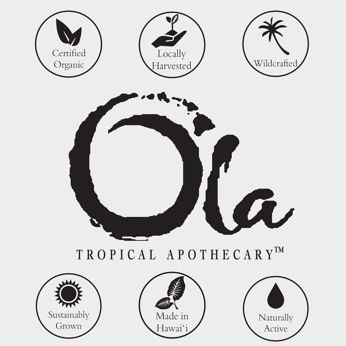 Manteca Corporal Plumeria con Aceites Tropicales y Extractos