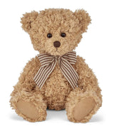 Peluche Osito  17