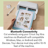 Cricut Joy Xtra - Kit de Stickers con Papel Adhesivo y Mat