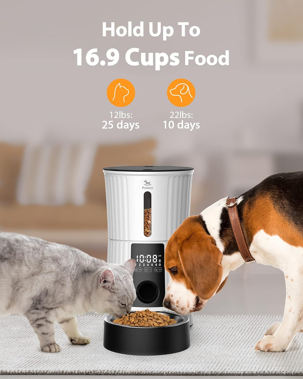 Comederos y Bebederos  automáticos para gatos cronometrados