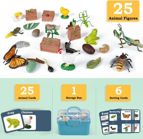 Juguetes de Ciclo de Vida para Niños - Kits de Ciencia 25 Pzs