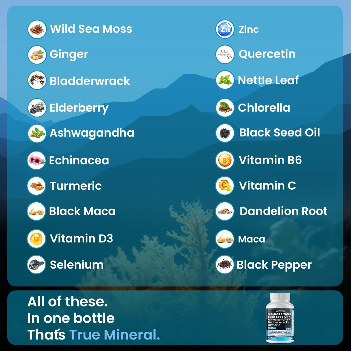 Suplemento natural con Sea Moss, Maca y Aceite de Semilla Negra, 60 cápsulas
