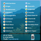 Suplemento natural con Sea Moss, Maca y Aceite de Semilla Negra, 60 cápsulas
