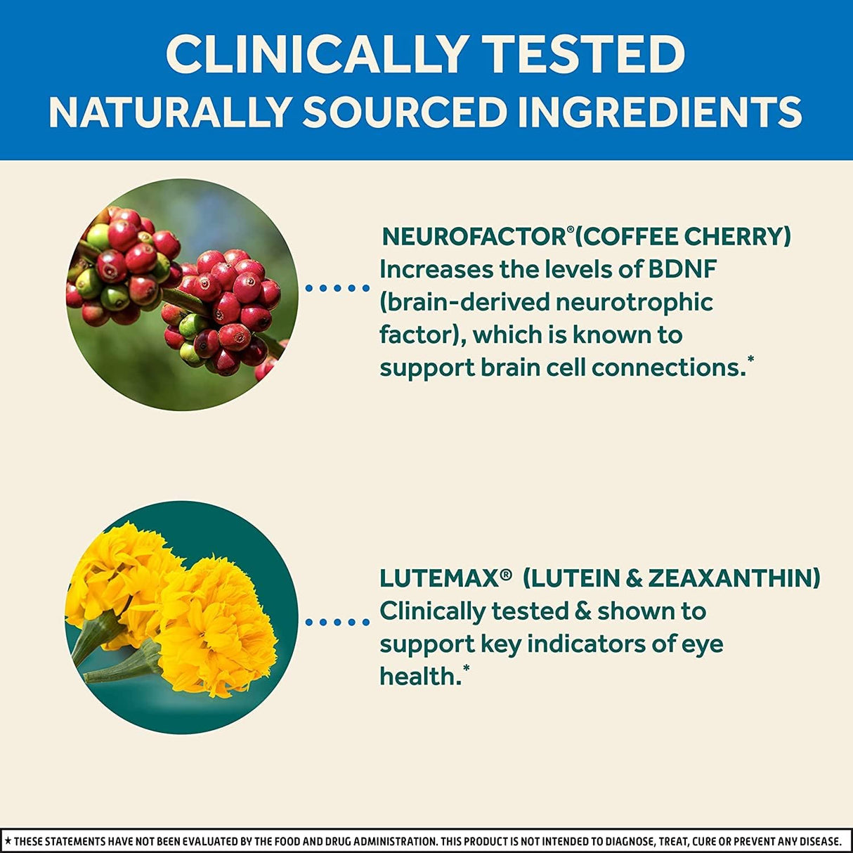 Suplemento Cápsulas de apoyo para el cerebro y los ojos 30 u