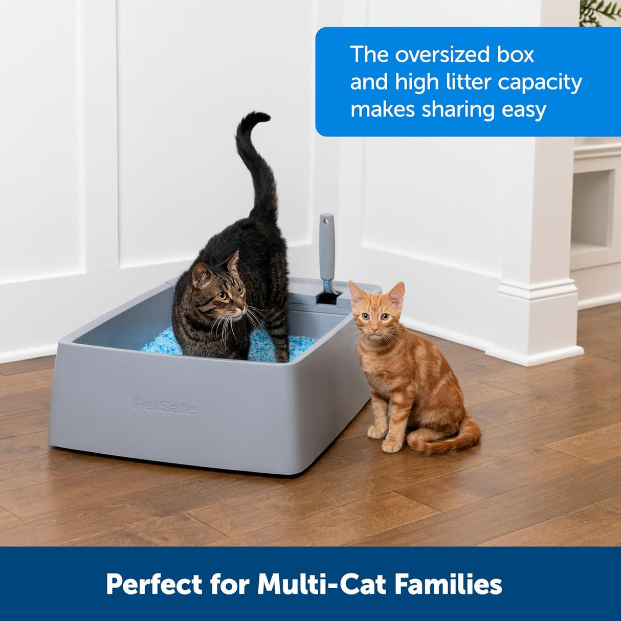 Caja de arena extragrande para gatos ZWM00-17262 PetSafe