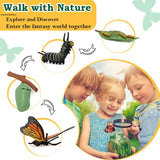 Juguetes de Ciclo de Vida para Niños - Kits de Ciencia 25 Pzs