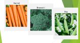 Colección de Semillas de Invierno Orgánicas Sin GMO - Heirloom