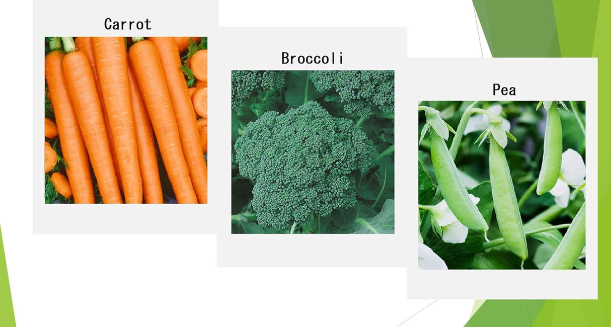 Semillas de Verduras de Invierno Orgánicas - 12 Variedades