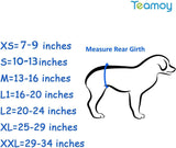 Teamoy Pañales reutilizables para perros machos, banda lavable para cachorro