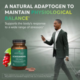 Schisandra Suplemento Suprarrenal Support 500 mg 60 Cápsulas