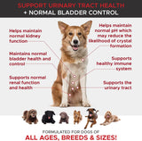 Vitaminas Arándano para perros Los suplementos para perros