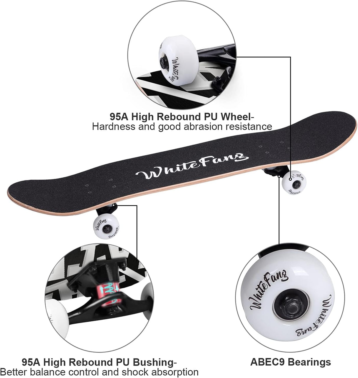 Patineta Completa 31 x 7.88, 7 Capas de Arce, Doble Kick