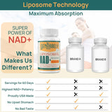 Suplemento Liposomal NAD+ con Nicotinamida y Resveratrol