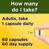 Suplemento Nature Made Ashwagandha 125 mg 60 cápsulas