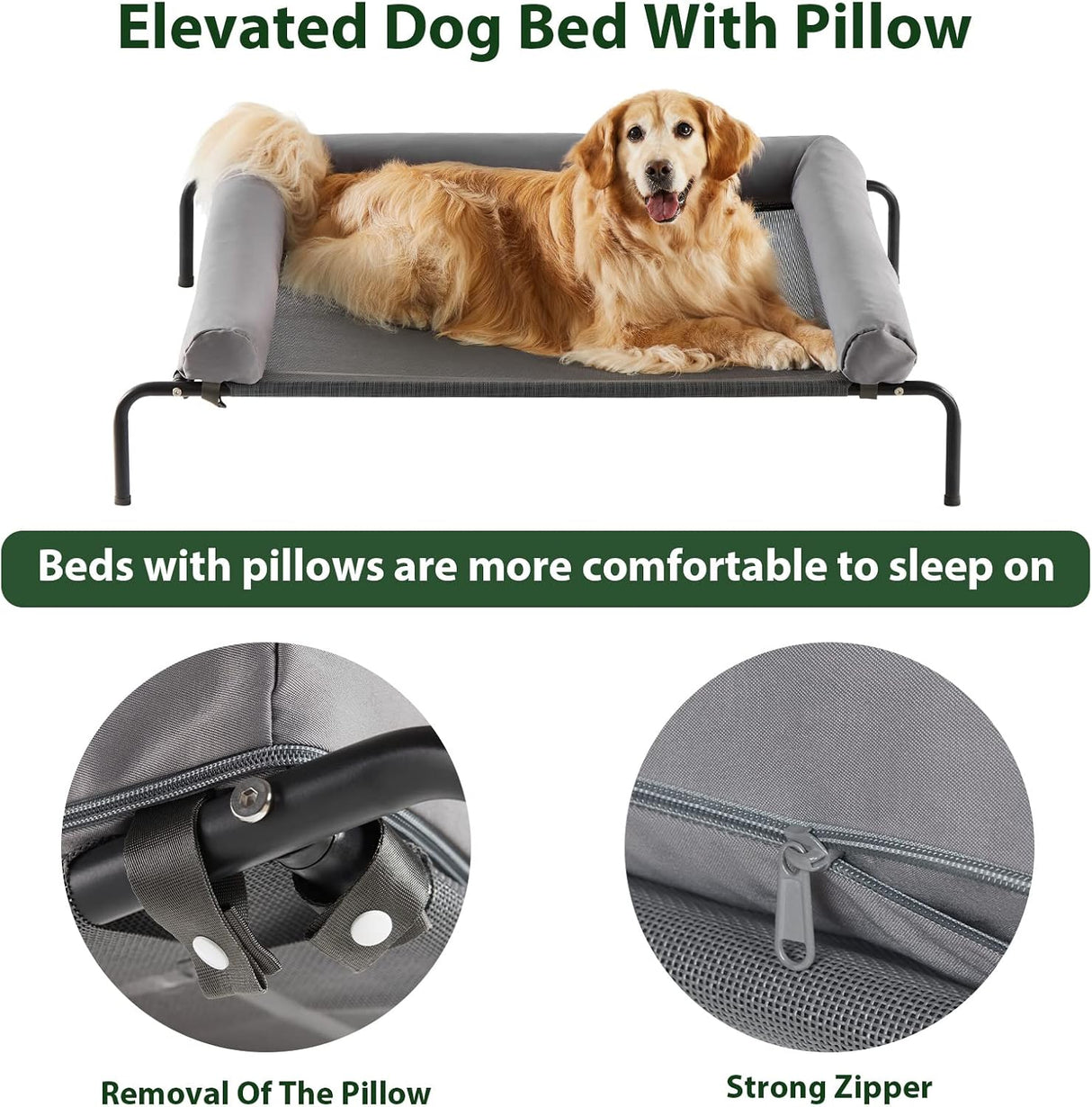 Cama Elevada para Perros RRPETHOME, Resistente y Portátil